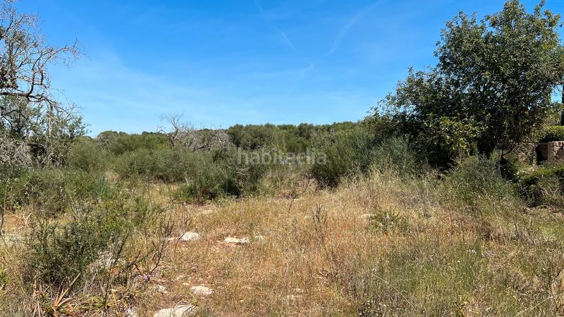 Foto 6a9bd63d-48da-43d4-a8f8-6b8ed66d8616. Terreno residenziale in S´Alquería Blanca - Calonge Santanyí