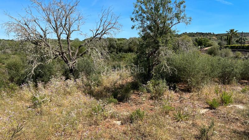 Foto 184c9031-bcc8-484e-9ee9-15a118df5660. Wohngrundstück in S´Alquería Blanca - Calonge Santanyí