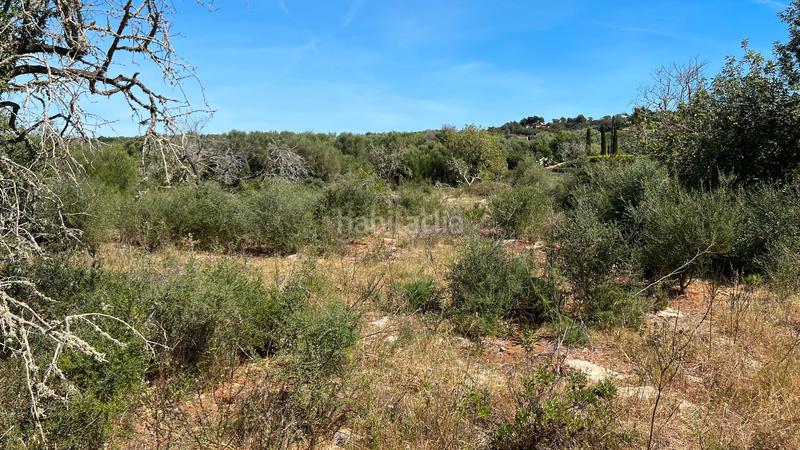 Foto 1ff8b36f-82b9-4e45-91e3-6c12ec7f0c34. Wohngrundstück in S´Alquería Blanca - Calonge Santanyí