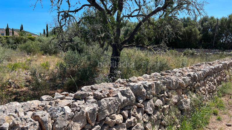 Foto b890351e-1b8a-45d1-b326-e8c1ccb5ed75. Wohngrundstück in S´Alquería Blanca - Calonge Santanyí