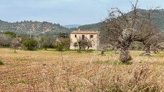 Mas dans Binissalem. Finca rstica en binissalem