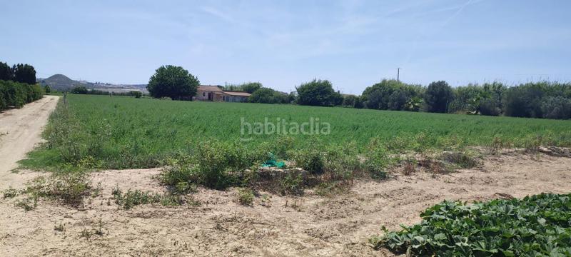 Foto 1a175e77-5f7b-456d-8031-c26cc6a0092e. Terreno residenziale in El Edén Guardamar del Segura