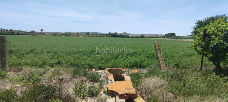 Foto 52a06236-13bc-481c-9ce0-298152b45b90. Terreno residenziale in El Edén Guardamar del Segura