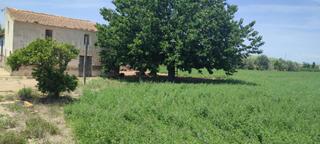 Residential Plot in El Edén. Finca rústica de regadio con vivienda  en guardamar