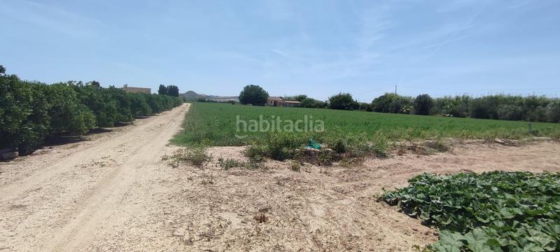 Foto 9f7ca7d6-3f34-411c-b2a1-d024e1e66d0d. Terreno residenziale in El Edén Guardamar del Segura