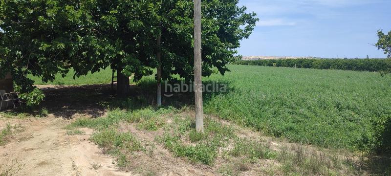 Foto a19e5e3b-5335-48f6-88e4-9a2a7d95d7be. Terreno residenziale in El Edén Guardamar del Segura