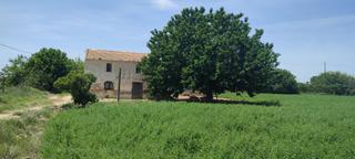 Terrain résidentiel à El Edén. Finca rústica de regadio con vivienda  en guardamar