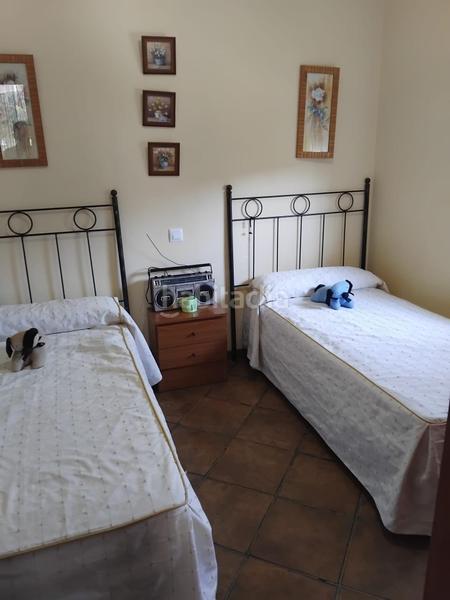 Foto 85acac65-7244-4b90-8d15-8b7841ec3184. Masía finca de olivar con vivienda legal junto al rio guadalbarbo en Pozoblanco