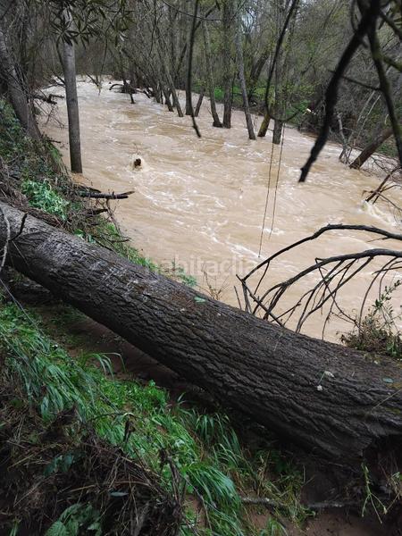 Foto c14fa7f6-662a-43a0-b91e-1511147fa57b. Masía finca de olivar con vivienda legal junto al rio guadalbarbo en Pozoblanco