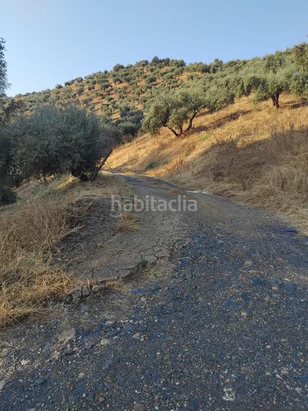 Foto d8318370-3d76-4764-bc32-e54ed0368714. Masía finca de olivar con vivienda legal junto al rio guadalbarbo en Pozoblanco