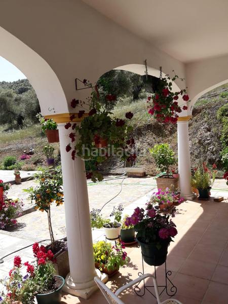 Foto fbb0100a-4bce-4f36-bbf3-087b43dbe6a6. Masía finca de olivar con vivienda legal junto al rio guadalbarbo en Pozoblanco