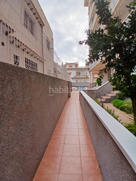 Foto 71ea6966-c566-4fad-bef3-945f3c8d135a. Planta baixa amb calefacció aparcament piscina a Torrevieja