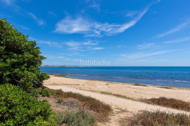 Foto 76000059-7763-4426-ae08-4e3edcad3698. Xalet amb calefacció aparcament piscina a La Veleta Torrevieja