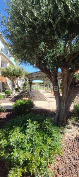 Foto 4963b778-5b3c-479a-9a7f-f1266cd2734e. Apartament amb calefacció aparcament piscina a Lomas de Cabo Roig - Los Dolses Orihuela