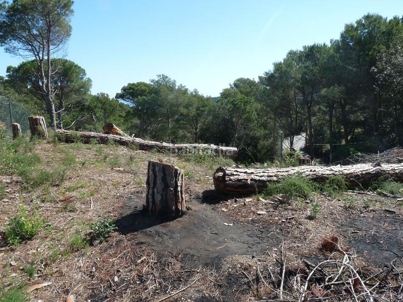 Foto 0f20d328-89ec-440d-b9a7-f3a7fcdb1ff5. Residential plot in Sa Riera-Sa Fontansa Begur