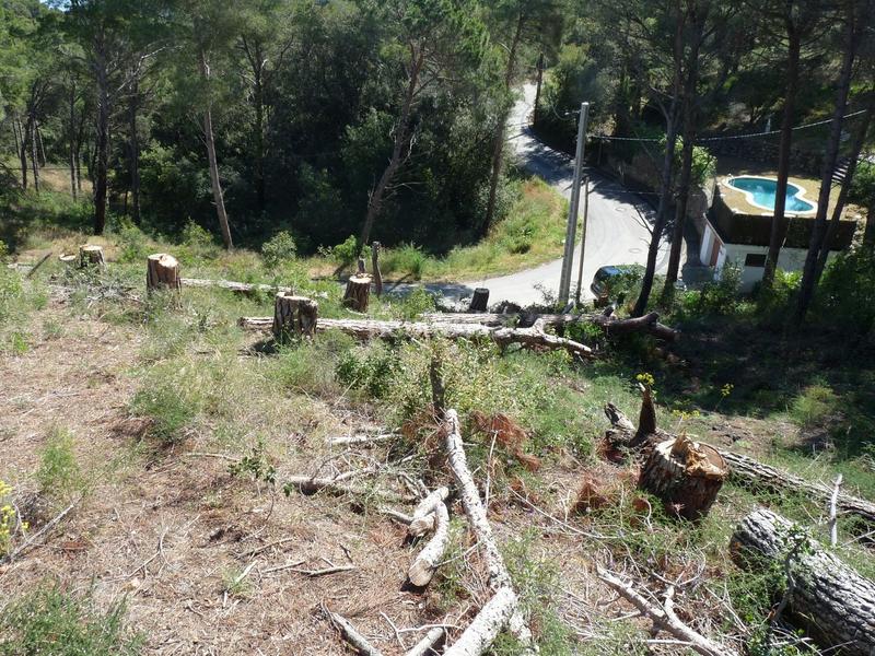 Foto 8e75cd43-e21d-44d3-a90d-fdfd0b77bb25. Residential plot in Sa Riera-Sa Fontansa Begur