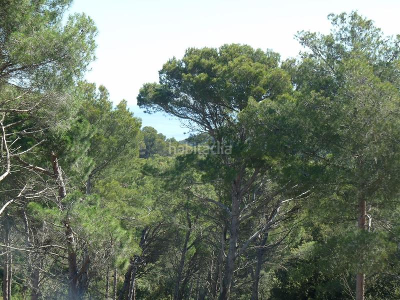 Foto 973da71a-c440-4e47-80f8-4d75d81c643e. Residential plot in Sa Riera-Sa Fontansa Begur