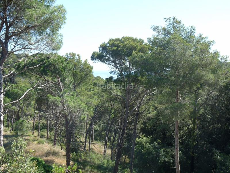 Foto af56ee5e-ada1-4111-ac97-bf4f3f100925. Residential plot in Sa Riera-Sa Fontansa Begur