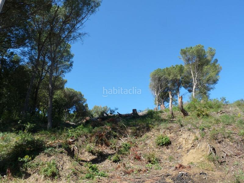 Foto dbfce676-12fb-49a3-88e4-f8a5eda2f891. Residential plot in Sa Riera-Sa Fontansa Begur