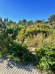 Terreny residencial a Carrer atzavara 1. Parcela urbana de 577 m2 en salou