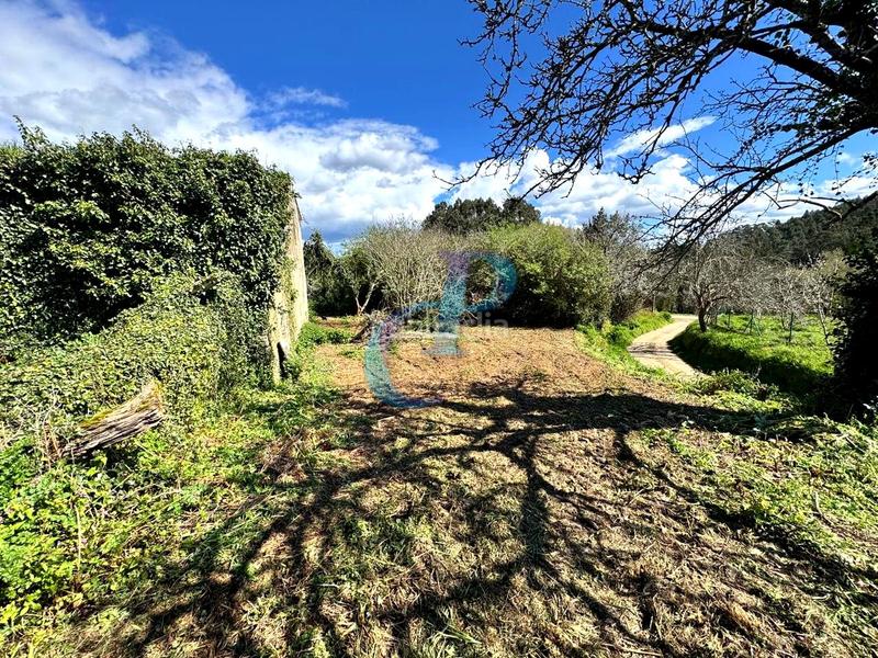 Foto f9e6c5ba-cabc-46f6-b176-b4bca274e53e. Masia a Abegondo