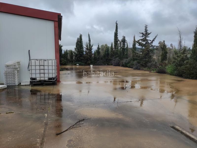 Foto 619a1e1f-7aa6-4b49-a5ab-fe4248b2976a. Bâtiment à usage industriel dans calle constitución 21 dans Santa Amalia