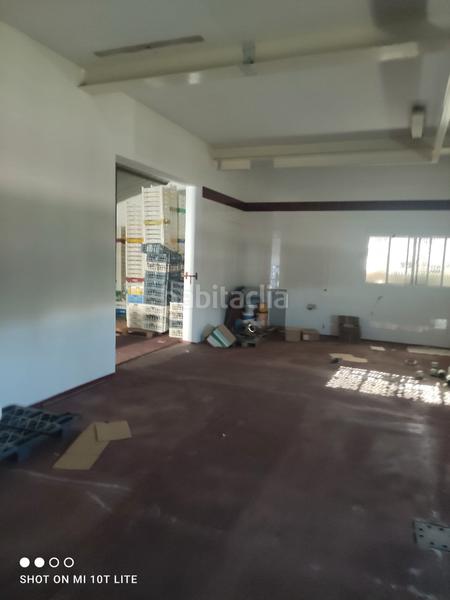 Foto 896933ad-758a-434b-a392-cfa30a7edfae. Bâtiment à usage industriel dans calle constitución 21 dans Santa Amalia