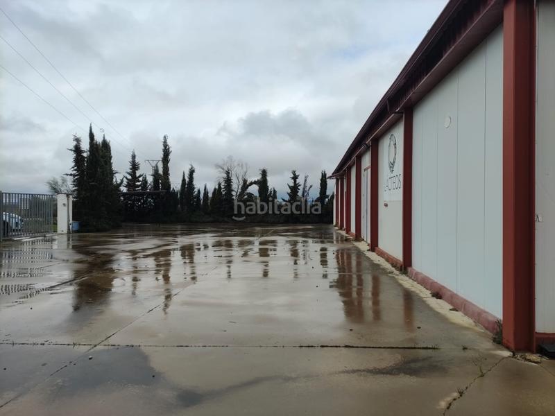 Foto 90276be8-4940-4c48-97c9-9e4cb20576ea. Bâtiment à usage industriel dans calle constitución 21 dans Santa Amalia