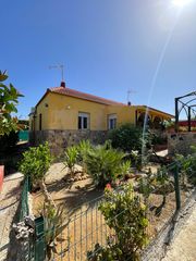 Masia a Cantillana. La pastora, cantillana