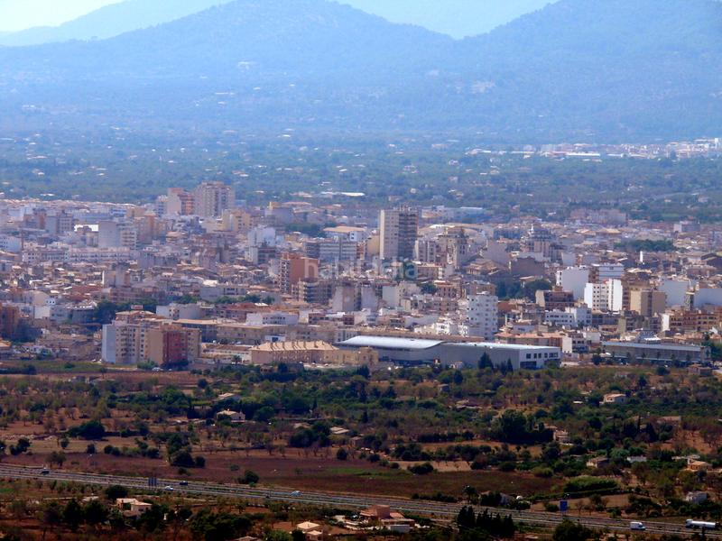 Foto 4ff24a4b-8029-46b9-ba9b-c14183ea8cbd. Terrain résidentiel dans Son Amonda - Reis Catòlics Inca