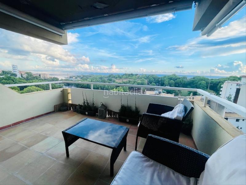 Foto cc7906d3-dfe1-42e4-a445-96be09253a0c. Location appartement avec parking piscine dans Cala Major Palma de Mallorca