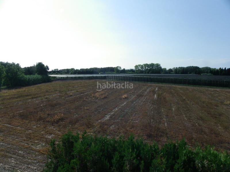 Foto 5533242b-80e5-44bc-b69b-02c38bb4acb1. Rural plot in resclosa in Ullà