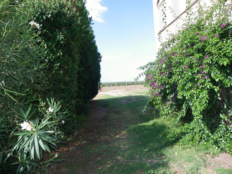 Foto 55a409cf-5b1a-487a-a778-febd5e90c9d9. Rural plot in resclosa in Ullà