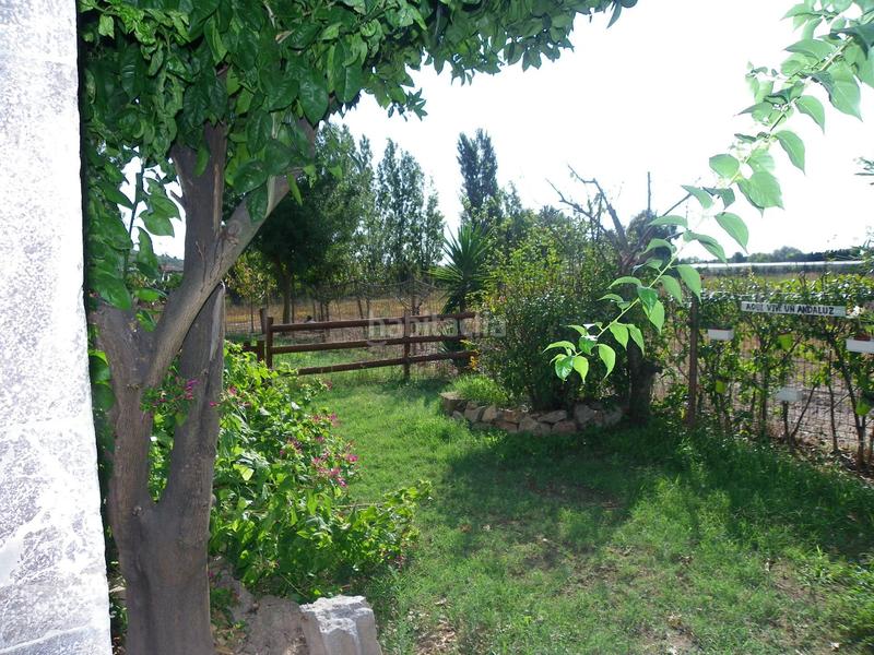 Foto 58d569c5-3193-4a52-a8ea-0cb18602cc14. Rural plot in resclosa in Ullà