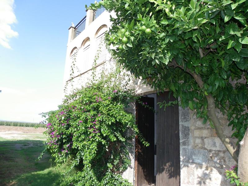 Foto 6a06dfdb-fa1e-4130-8367-261233145319. Rural plot in resclosa in Ullà