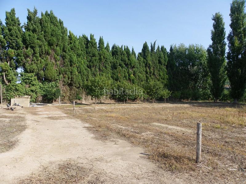 Foto 71353a89-0f3c-4624-813f-6979e846bd51. Rural plot in resclosa in Ullà