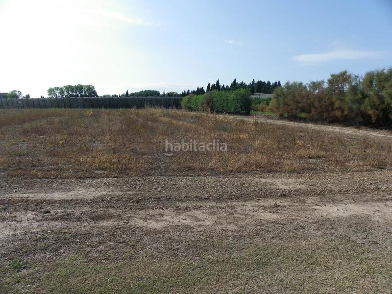 Foto 8a489f86-80fa-4f38-9afd-aee5c1da80e0. Rural plot in resclosa in Ullà