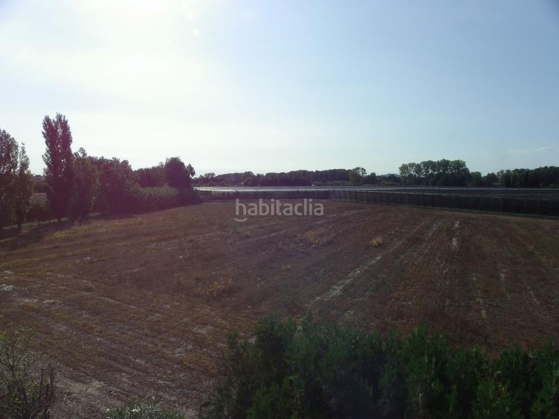 Foto 8bb62f03-9ae2-4836-b9a7-494f30217c13. Rural plot in resclosa in Ullà