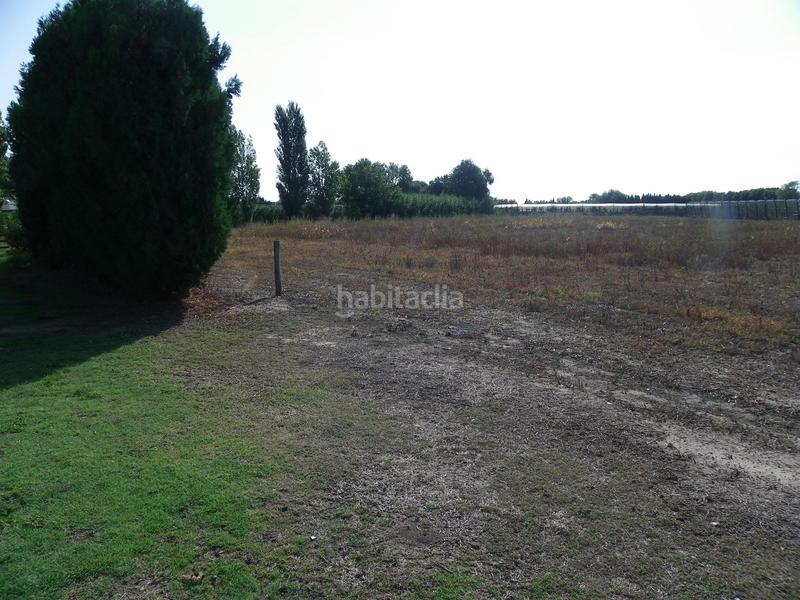 Foto 937f57b2-ad99-4538-8366-9f3f39b070fb. Rural plot in resclosa in Ullà