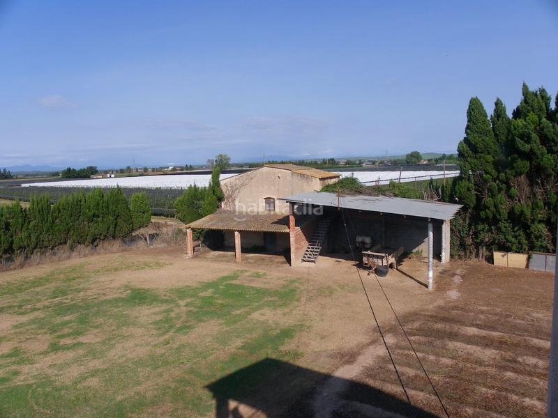 Foto d25eadd9-7e9e-4457-a2ed-e513ad515807. Rural plot in resclosa in Ullà