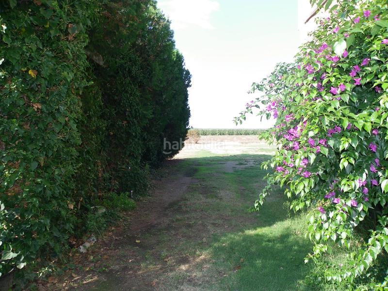 Foto d62da5d0-a9de-480a-9993-2f48b290f195. Rural plot in resclosa in Ullà