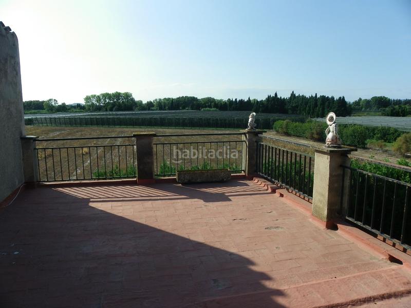 Foto e1a8fc6d-a9ca-4ed0-97ea-66ed1953c4f1. Rural plot in resclosa in Ullà