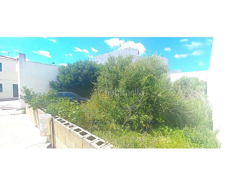 Foto b43b8543-ef50-4acb-b635-8de4778f779a. Terreno residencial solar interesante proyecto para inversores, 5 viviendas con piscina. en Alaior