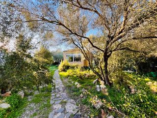 Masia  Urbanizacion binixica. Casa con encanto y terreno rústico en binixica