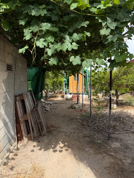 Foto f6c214a3-f9fe-4e83-bed7-a9016fc3d5c7. Finca rústica a Piscinas Burriana