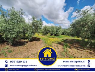 Finca r�stica en Cabra. ??finca de olivos en cabra??