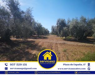 Rural plot in Cabra