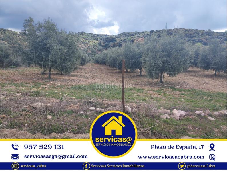 Foto 9da99a4b-55e0-4a1f-89f5-4a1aee2a387c. Propriété dans Cabra