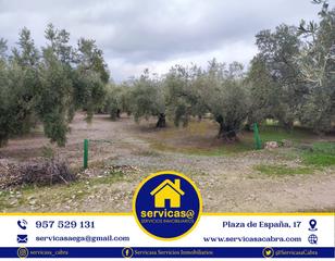 Rural plot in Cabra