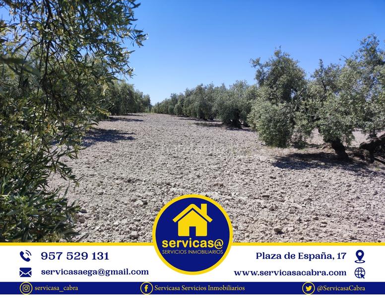 Foto 7c3177ca-5352-4de1-88c7-e6650c2ec2c0. Propriété dans Cabra